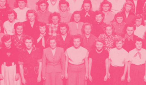 Tier 3A: Fundy Princesses