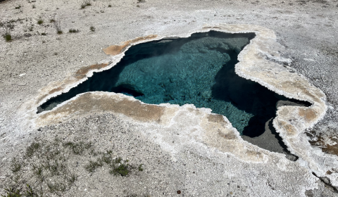 Blue Star Spring Shawl